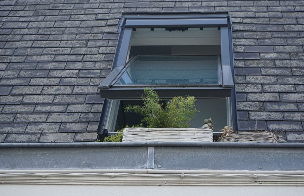 classic design of roof and a plant on a modern window of a house